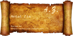 Antal Zia névjegykártya